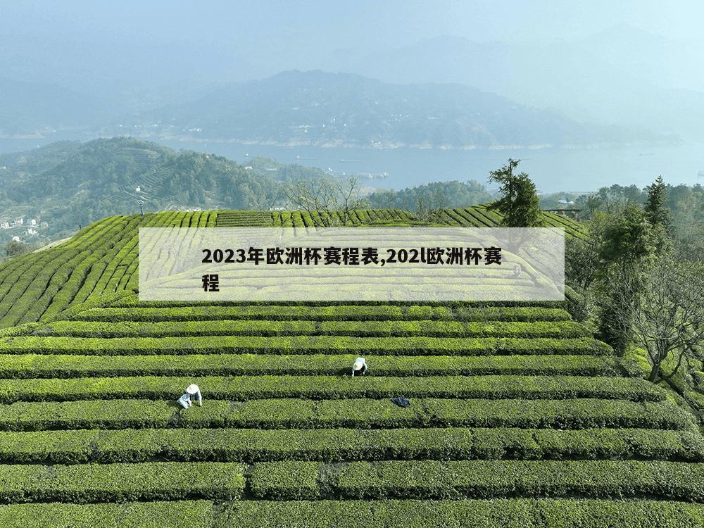 2023年欧洲杯赛程表,202l欧洲杯赛程