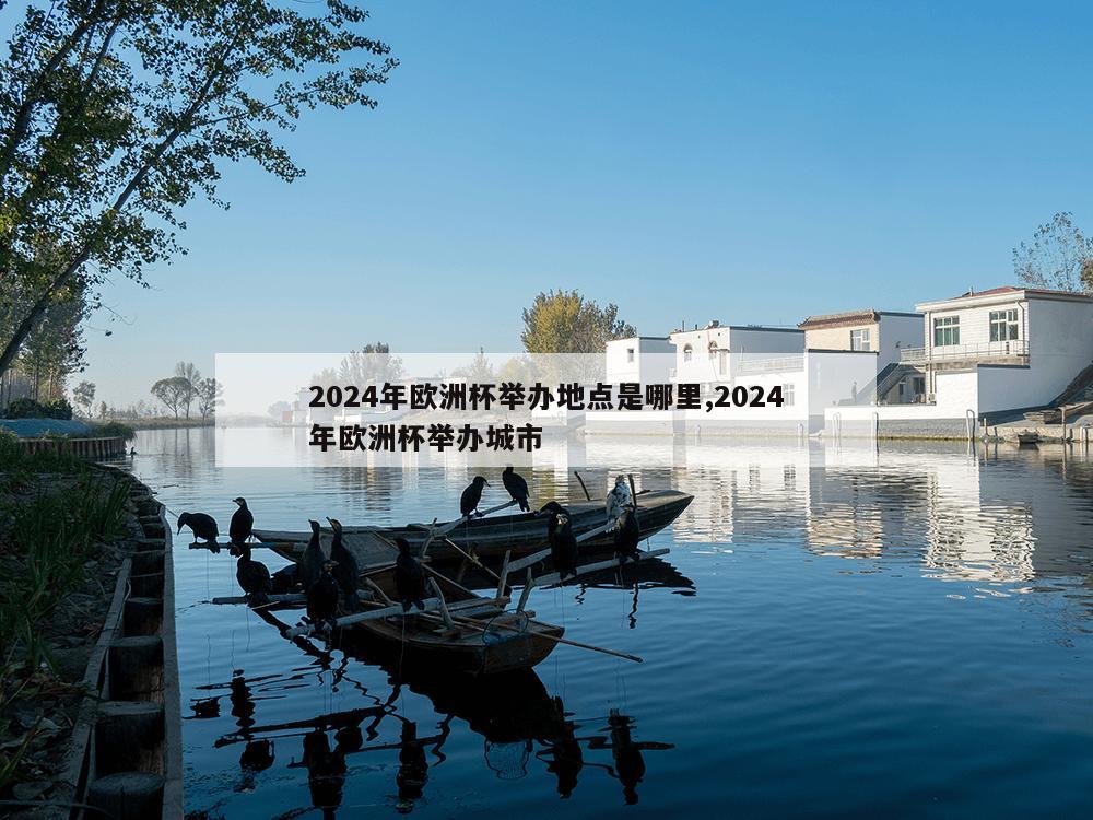 2024年欧洲杯举办地点是哪里,2024年欧洲杯举办城市