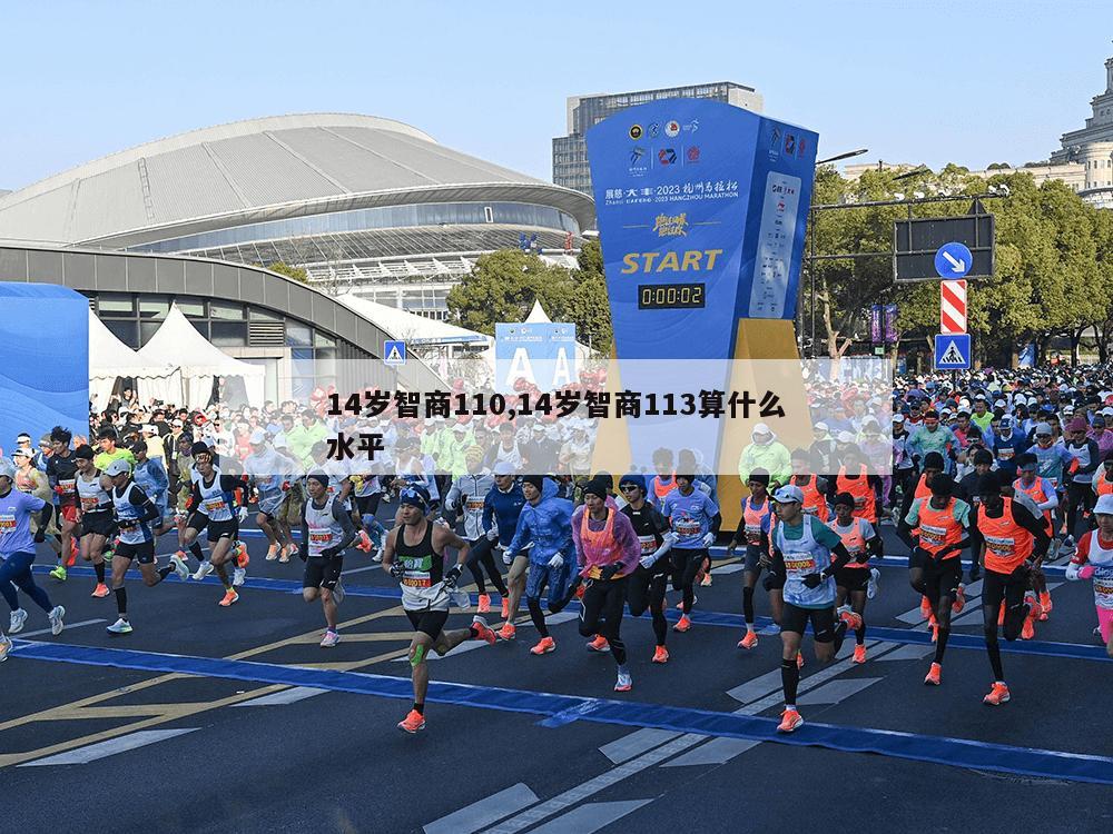 14岁智商110,14岁智商113算什么水平