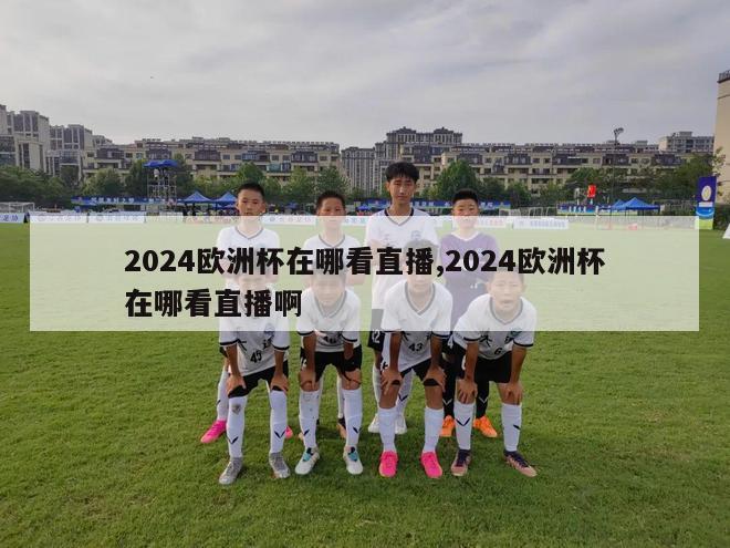 2024欧洲杯在哪看直播,2024欧洲杯在哪看直播啊