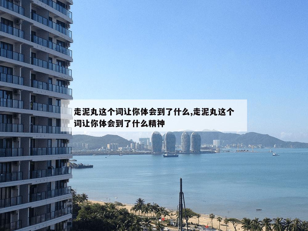 走泥丸这个词让你体会到了什么,走泥丸这个词让你体会到了什么精神