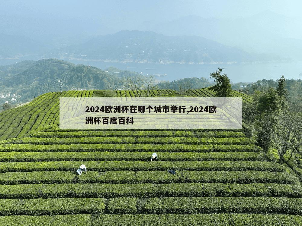 2024欧洲杯在哪个城市举行,2024欧洲杯百度百科