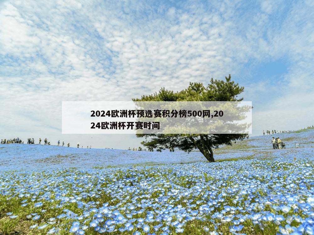 2024欧洲杯预选赛积分榜500网,2024欧洲杯开赛时间