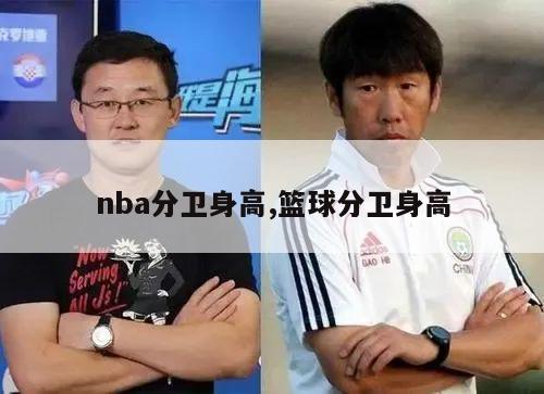 nba分卫身高,篮球分卫身高