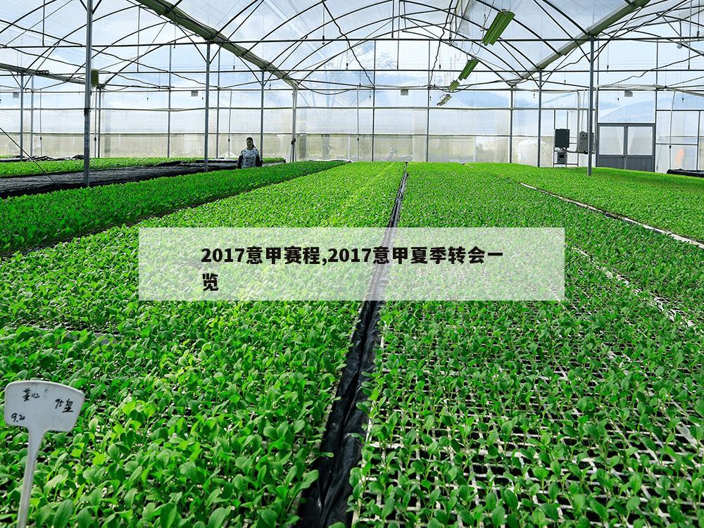 2017意甲赛程,2017意甲夏季转会一览