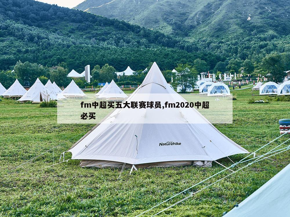 fm中超买五大联赛球员,fm2020中超必买